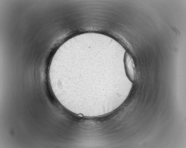 X0000116590635201001071234