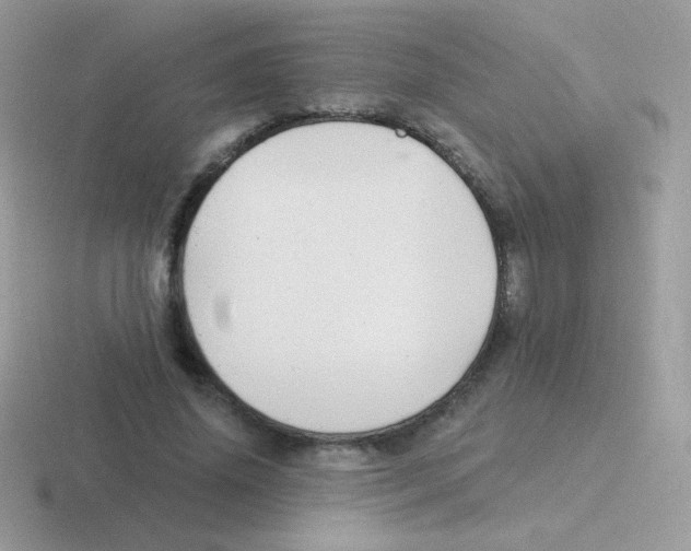 X0000116590636201001071234