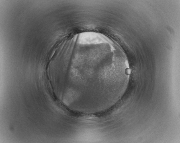 X0000116590642201001071234