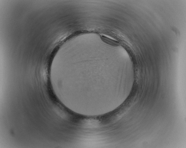 X0000116590644201001071235