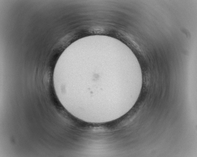 X0000116590645201001071235