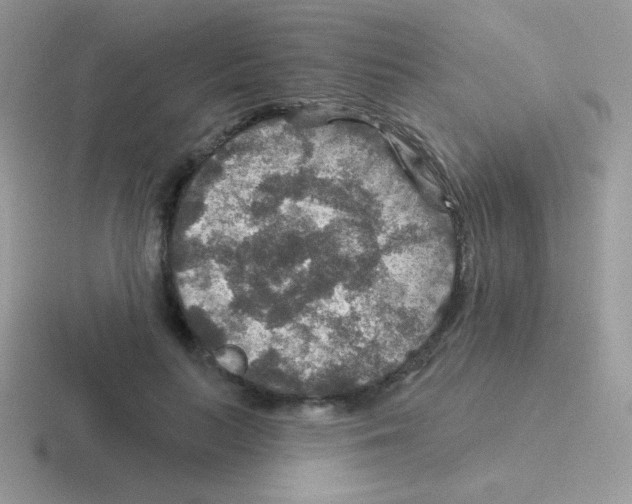 X0000116590647201001071235