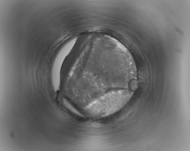 X0000116590648201001071235