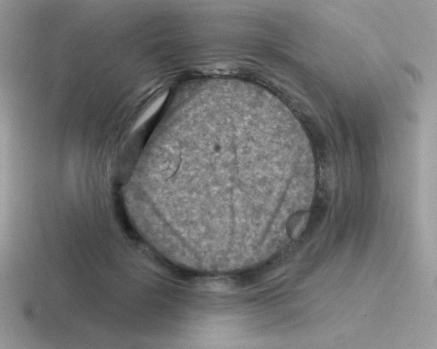 X0000116590652201001071235