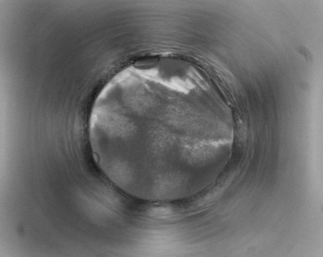 X0000116590653201001071235