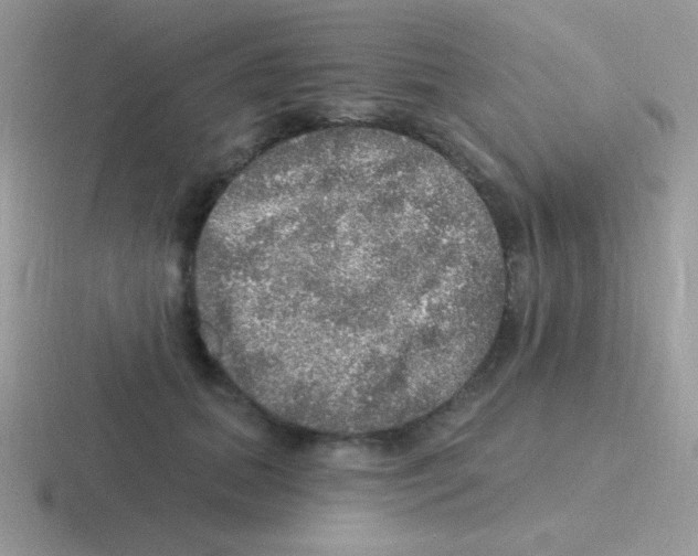 X0000116590655201001071235