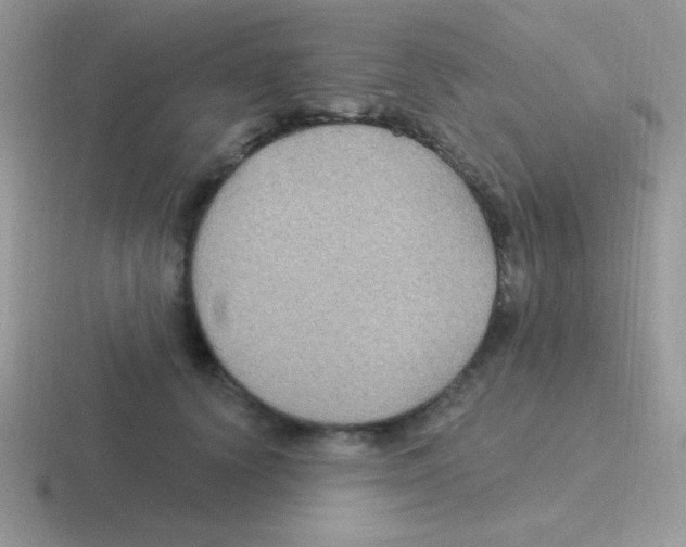 X0000116590656201001071235