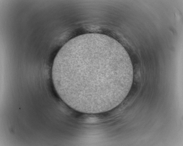 X0000116590658201001071235