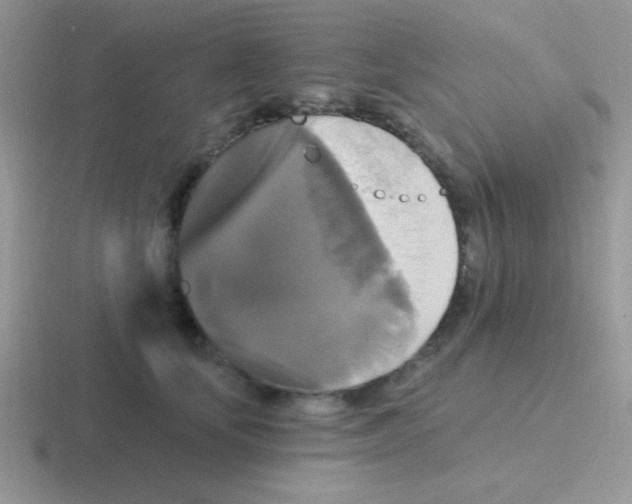 X0000116590659201001071235