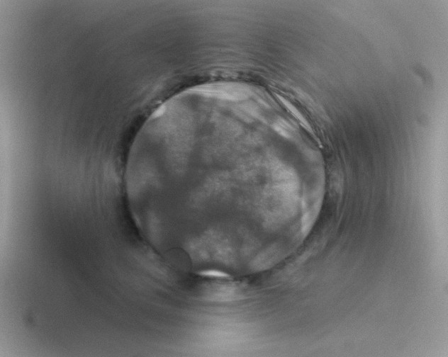 X0000116590661201001071235