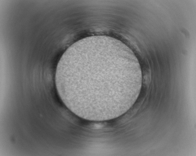 X0000116590662201001071235