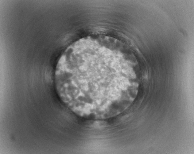 X0000116590663201001071235