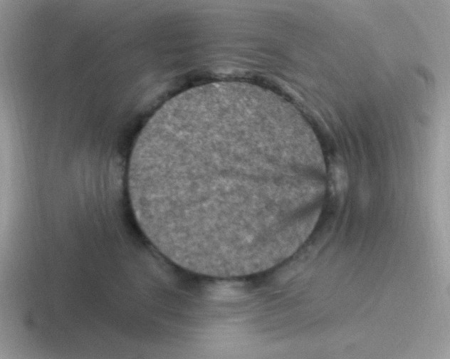 X0000116590664201001071235