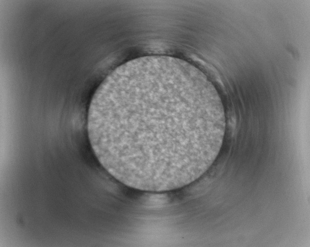 X0000116590665201001071235