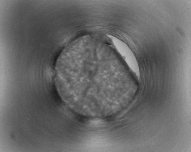 X0000116590669201001071235