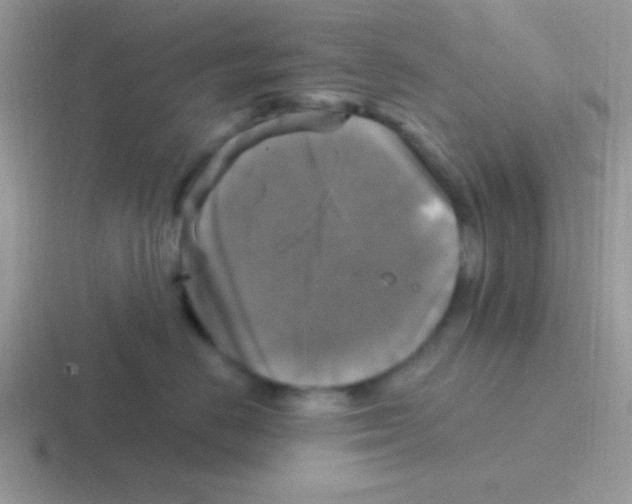 X0000116590670201001071235