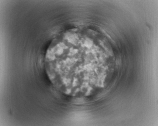 X0000116590671201001071235