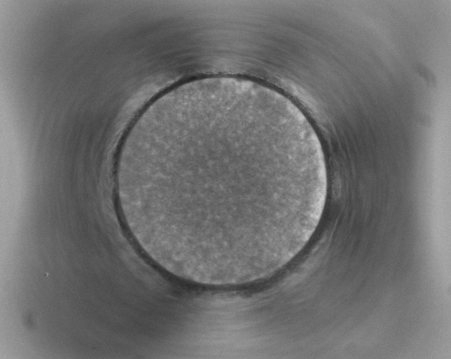 X0000116590673201001071234