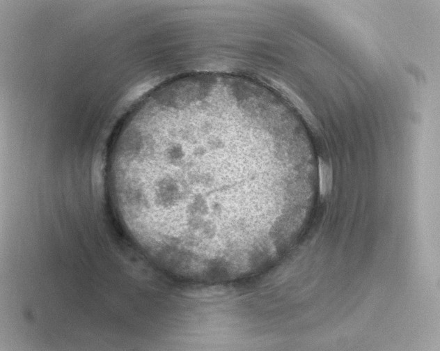 X0000116590675201001071234