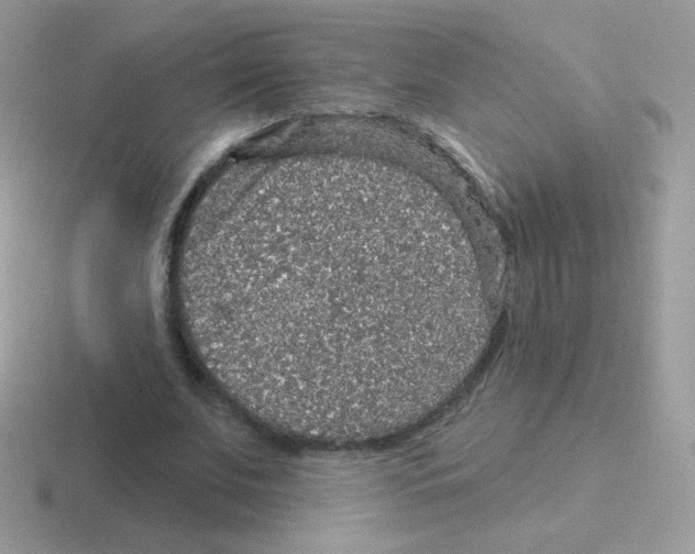 X0000116590679201001071234