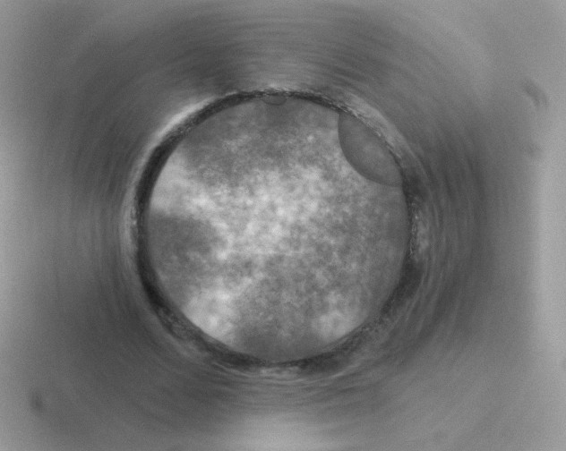 X0000116590680201001071234