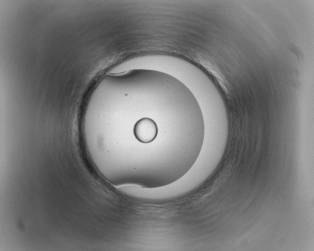 X0000116590681201001071234