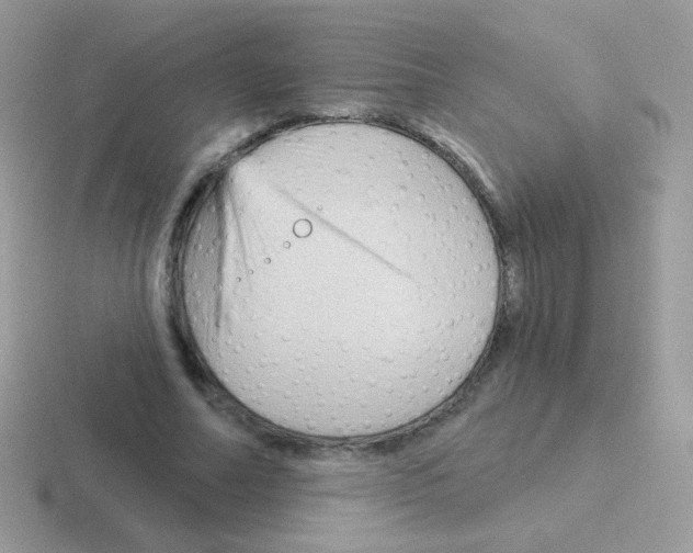 X0000116590682201001071234