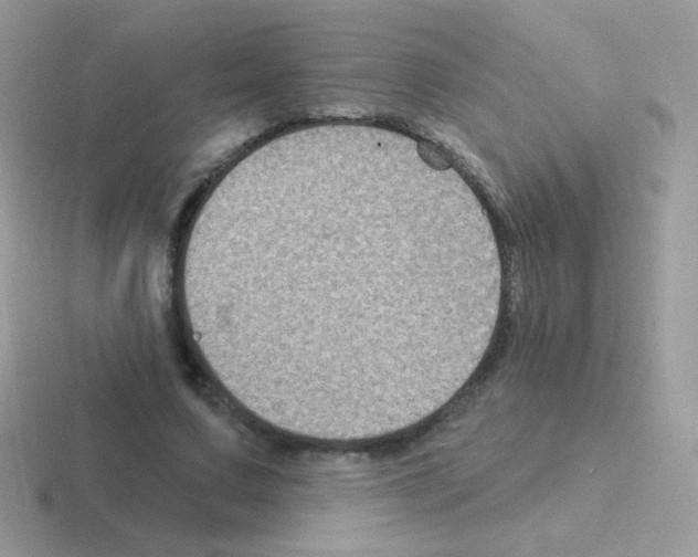 X0000116590683201001071234