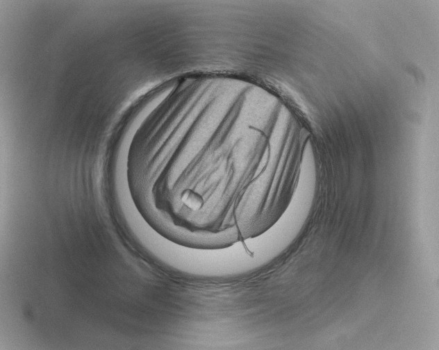 X0000116590684201001071234