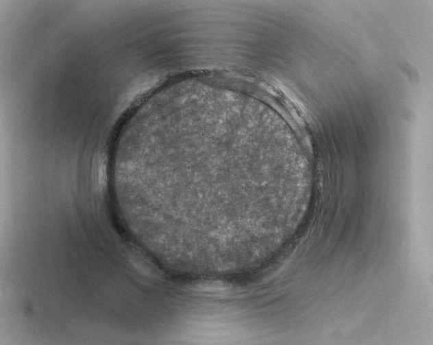 X0000116590685201001071234