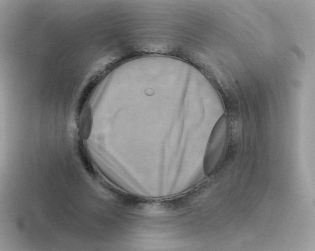 X0000116590688201001071234