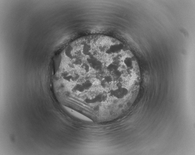 X0000116590691201001071234