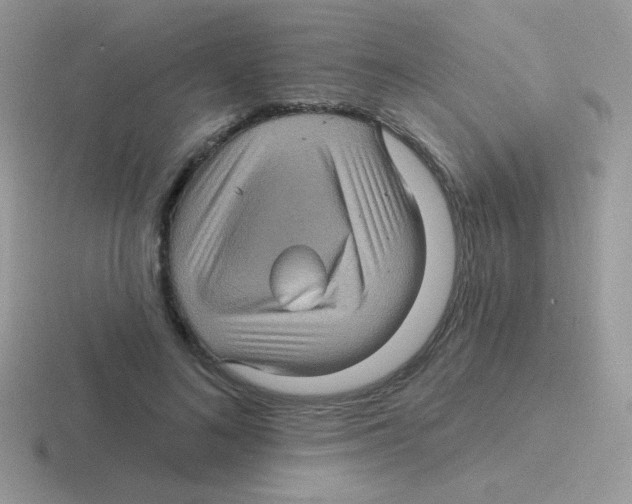 X0000116590692201001071234