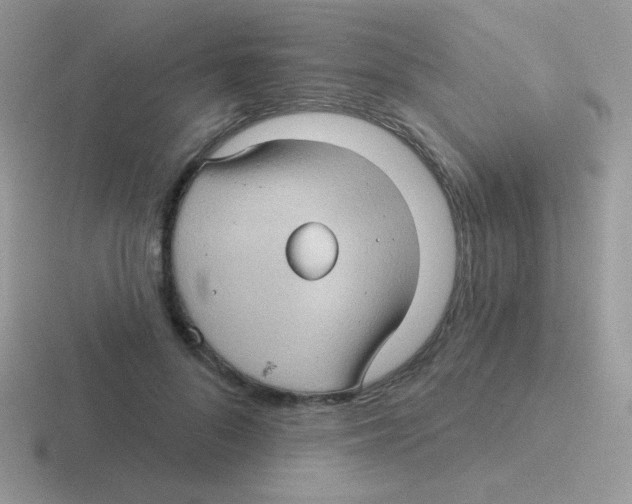 X0000116590696201001071234