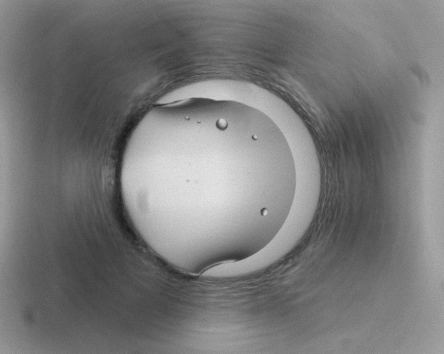 X0000116590697201001071234