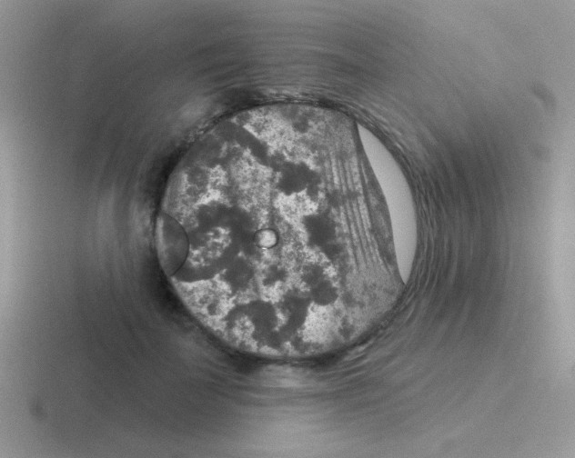 X0000116590699201001071234