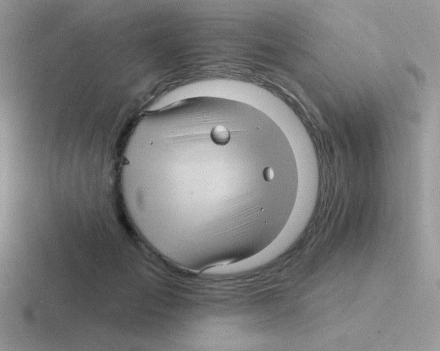 X0000116590701201001071234