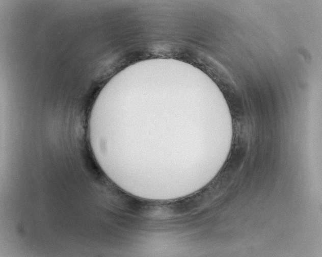 X0000116590702201001071234