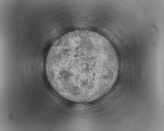 X0000116590703201001071234