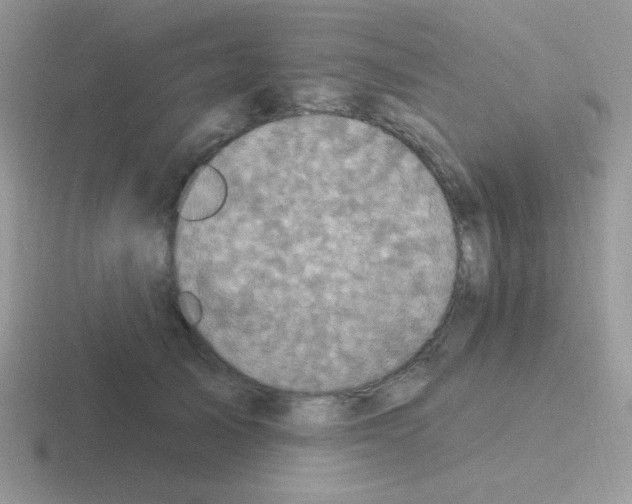 X0000116590705201001071234