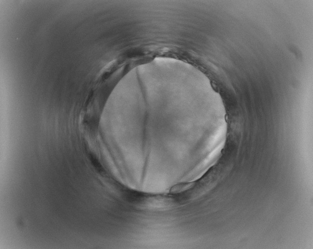 X0000116590708201001071234