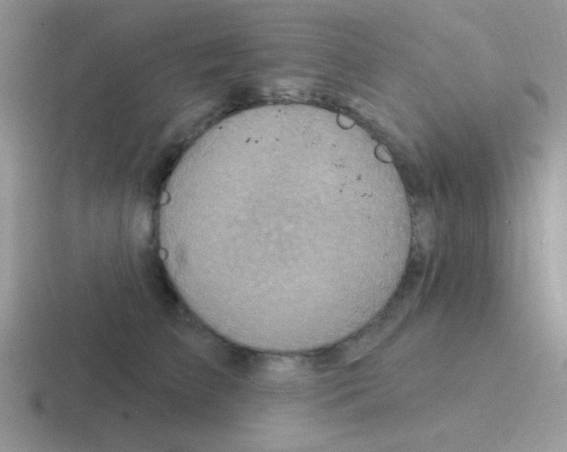 X0000116590709201001071234