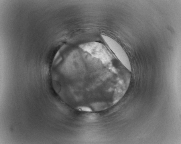 X0000116590711201001071234