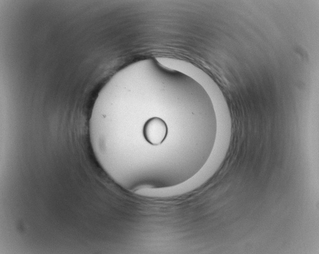 X0000116590713201001071234