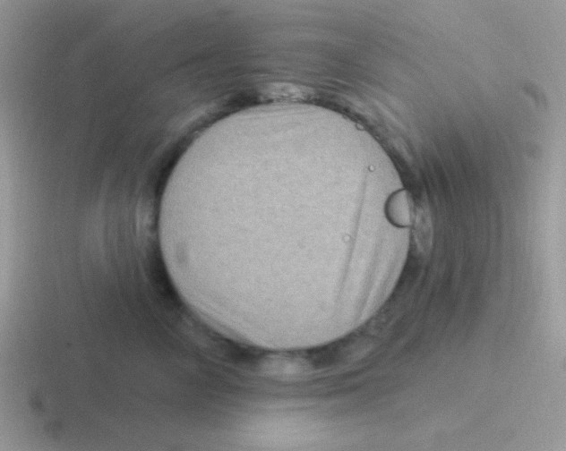 X0000116590714201001071234