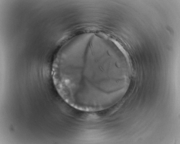 X0000116590715201001071234