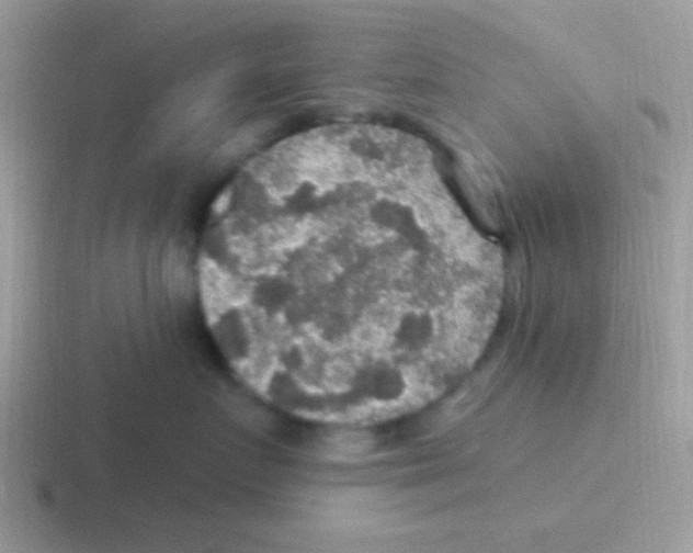 X0000116590719201001071234