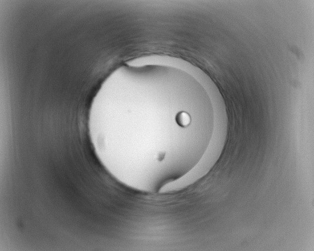 X0000116590720201001071234