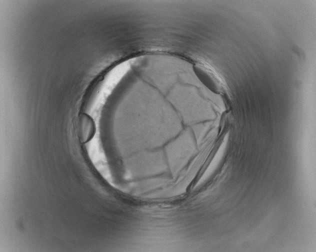 X0000116590721201001071233