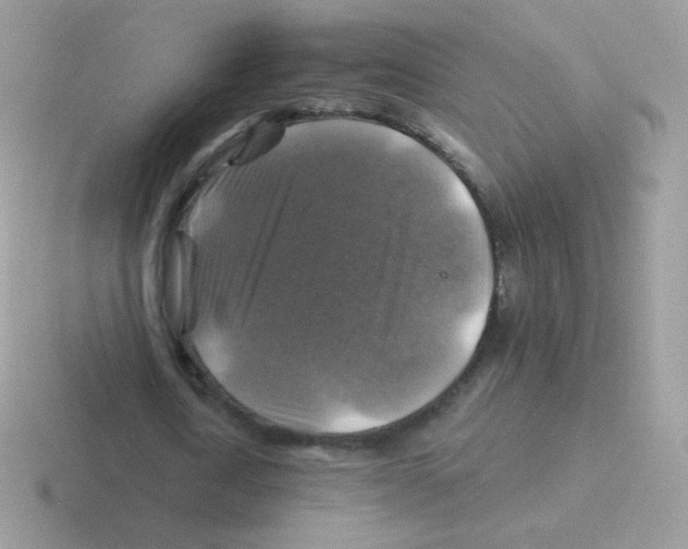 X0000116590722201001071233